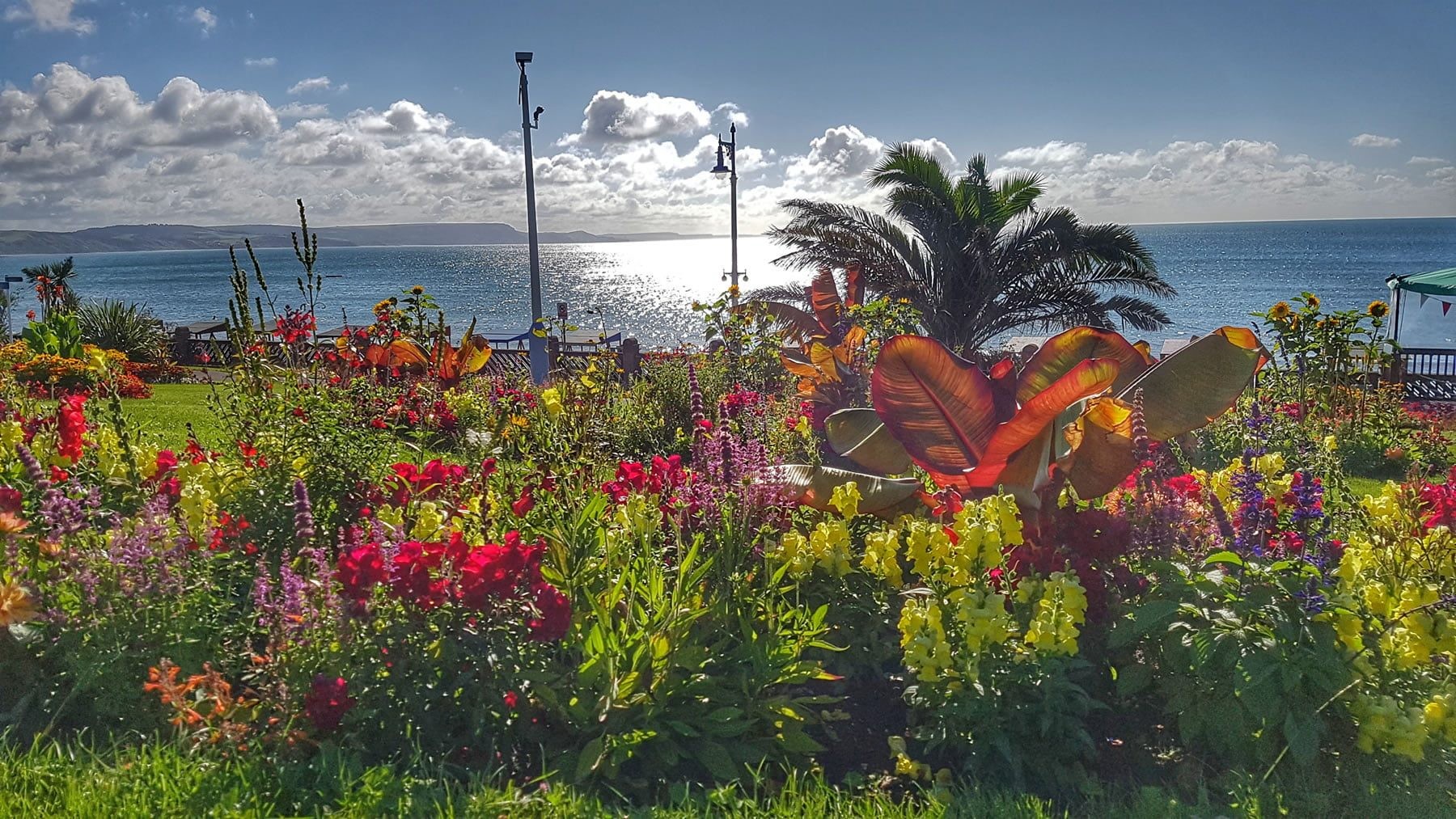 Header banner image